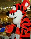 Walt Disney World in Orlando is the place to meet the characters. Tigger does autographs at the Crystal Palace